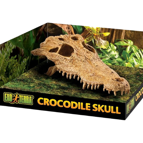 גולגולת קרוקודיל של חברת אקסו טרה exo terra crocodile skull (1)