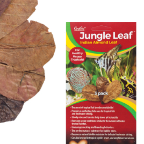 עלי ג'ונגל שקד הודי 3 יחידות CaribSea Aquatics Jungle Leaf Indian Almond Leaf 3 Pk